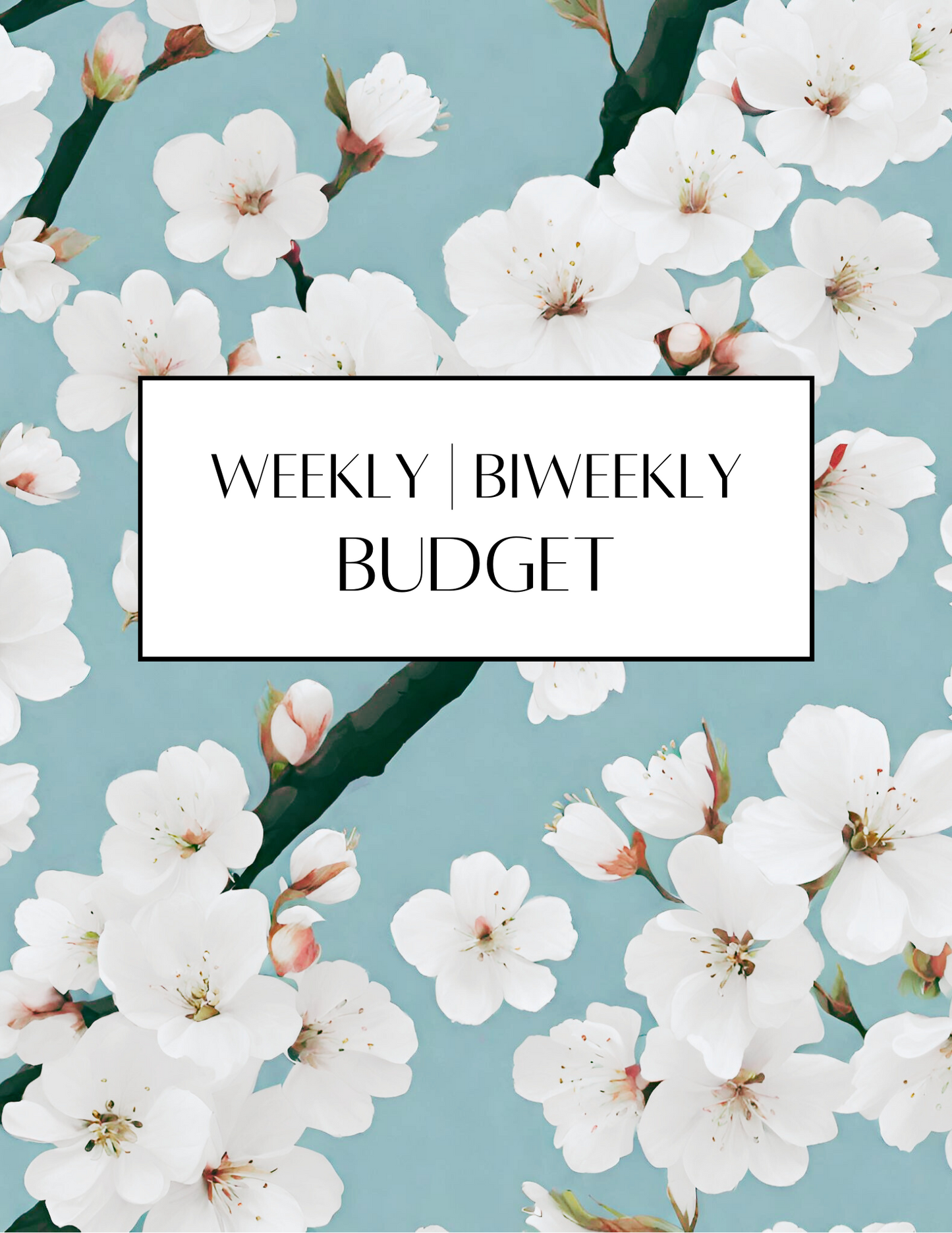 Master Your Money: The Ultimate Budgeting Planner