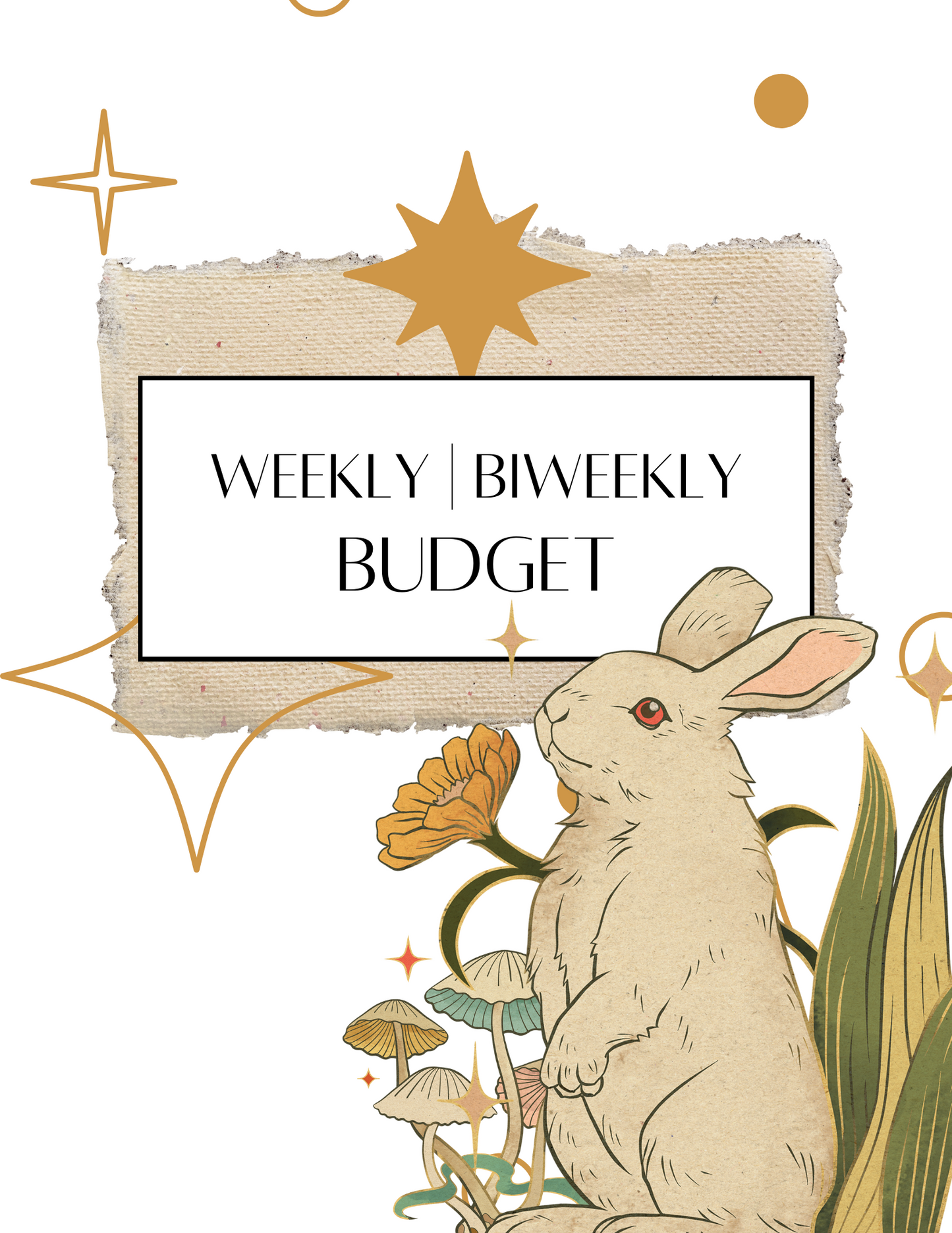 Master Your Money: The Ultimate Budgeting Planner